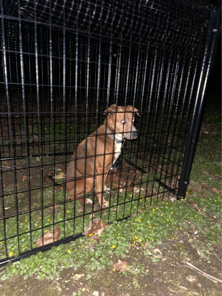 Chester
