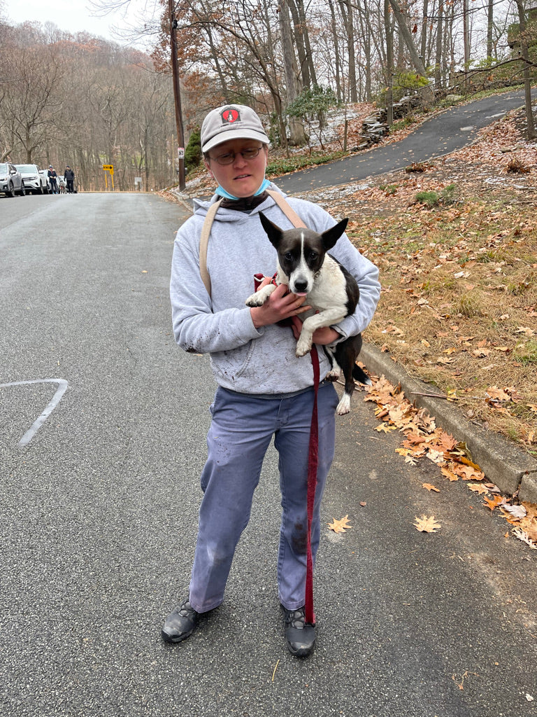 Bryson's THIRD Capture – Buddha Dog Rescue & Recovery