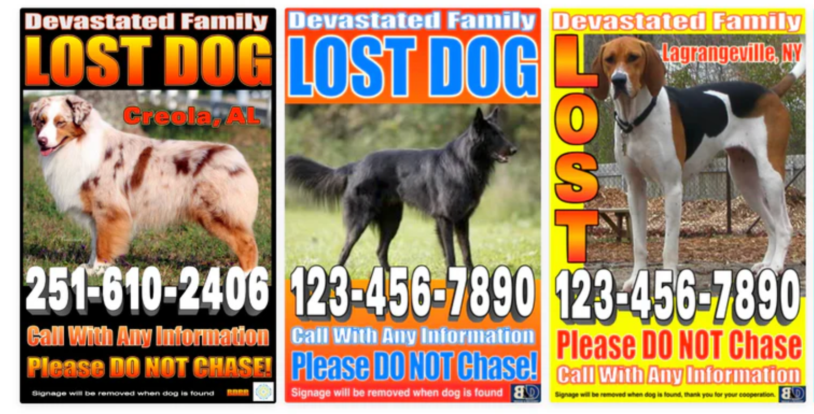 Lost Pet Poster Design